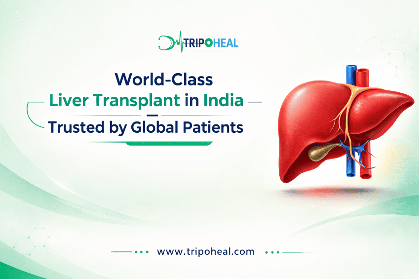 You are currently viewing Liver Transplant in India for Foreign Patients: Eligibility, Cost, and Recovery