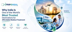 Read more about the article Why India Is One of the World’s Most Trusted Destinations for Affordable Medical Treatment