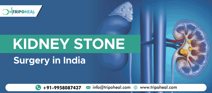 Kidney Stone Surgery in India